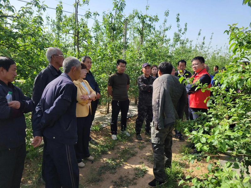 农业技术推广——让绿色在大地上蔓延